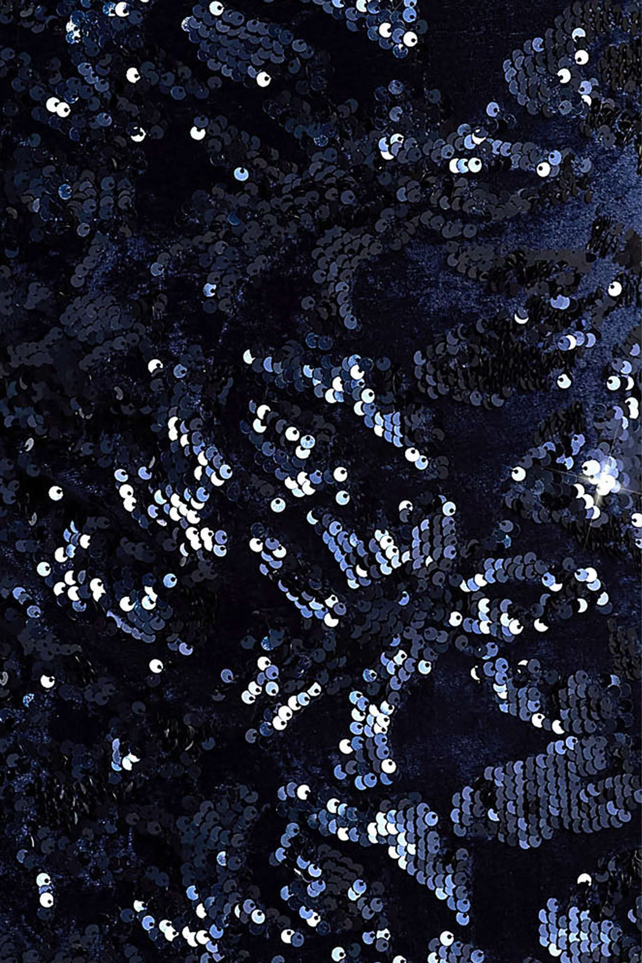 Alanita | Marineblauw Fluwelen Hogehals Midi Jurk Met Pailletten En Lange Mouwen - Image 6