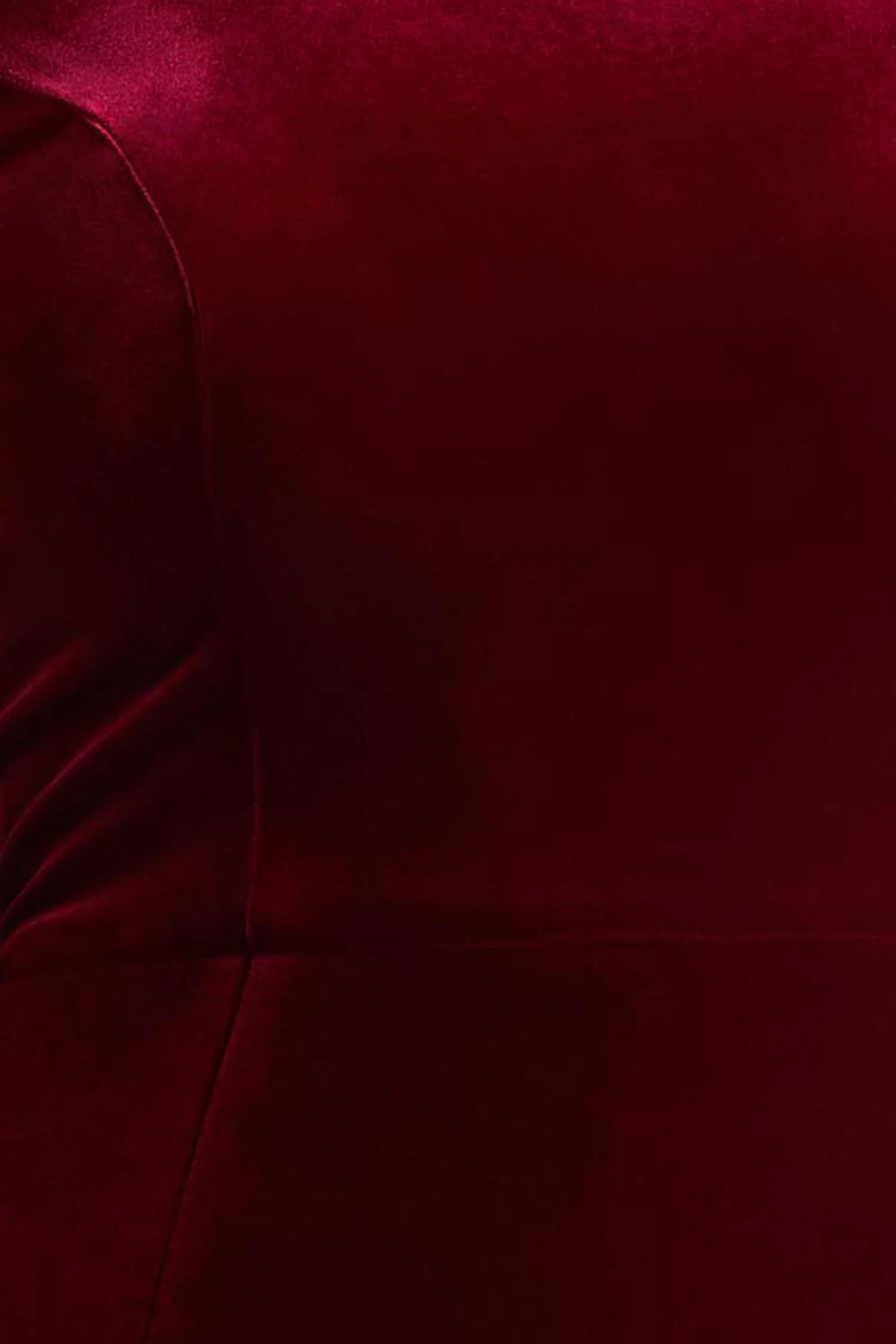Margot | Bordeaux Hoge Hals Fluwelen Mini Jurk Met Versierde Details - Image 7
